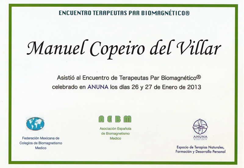 Certificado: encuentro terapeutas biomagnetismo