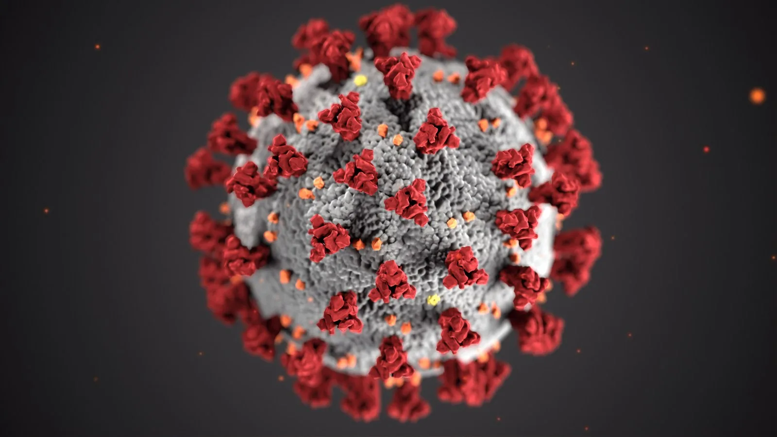Coronavirus y medicinas alternativas