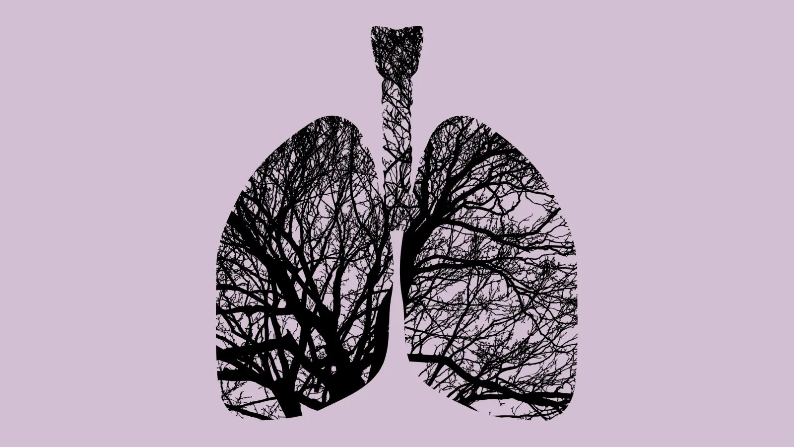 Par biomagnético bronquitis terapia con imanes en problemas respiratorios