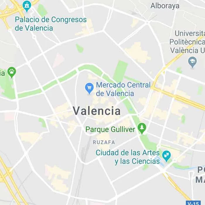 Consulta de Par Biomagnético en Valencia